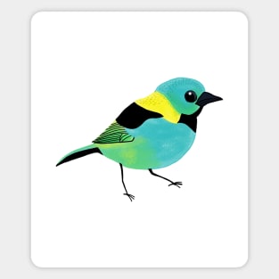 Green Headed Tanager Magnet